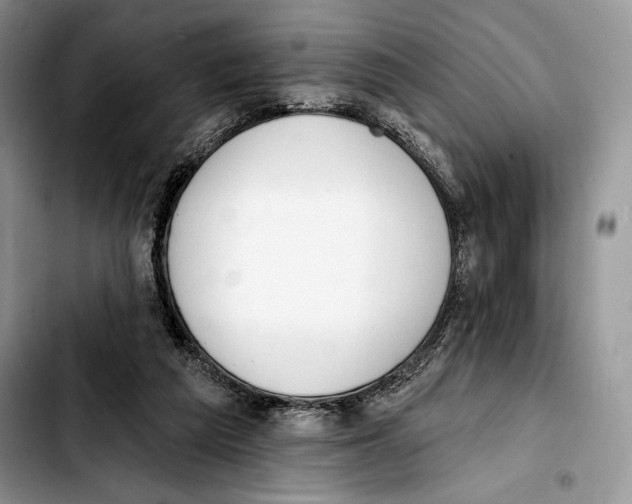 X0000103420209200810101026