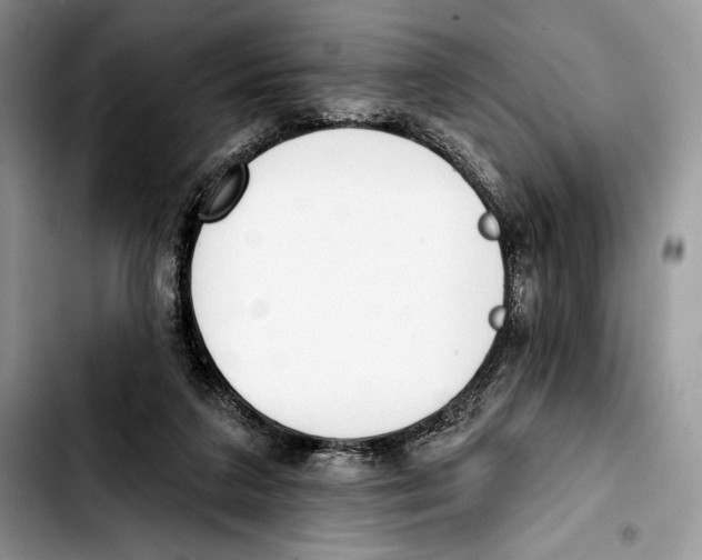 X0000103420211200810101026