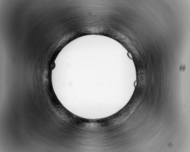 X0000103420212200810101026