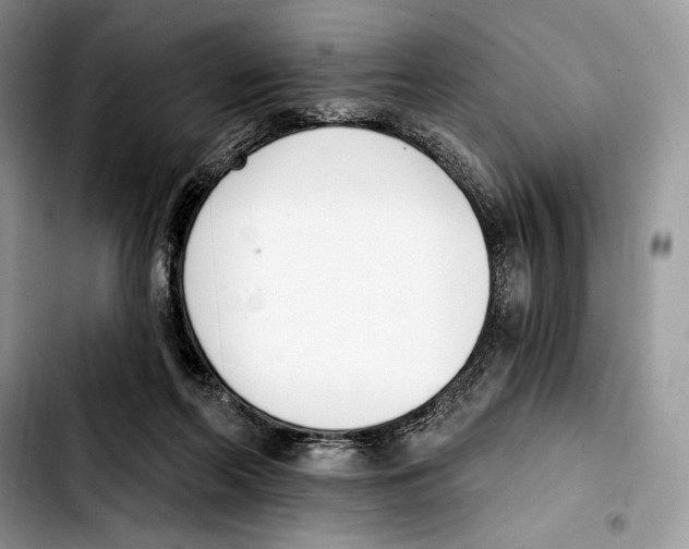 X0000103420214200810101026