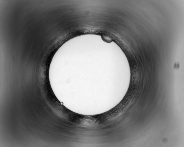 X0000103420215200810101026