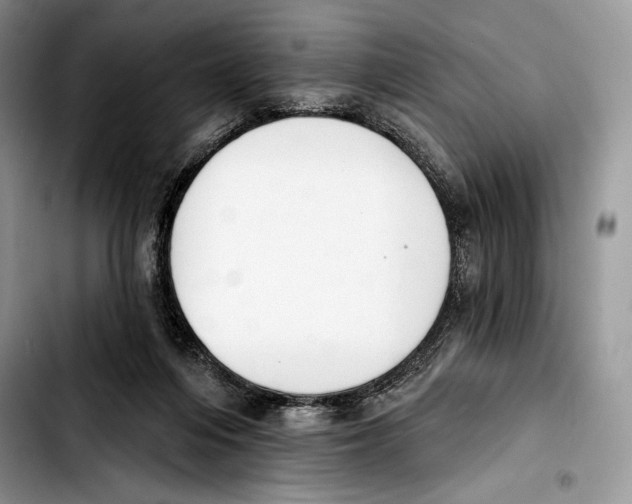X0000103420216200810101026