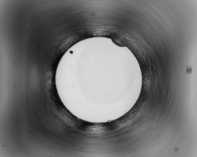 X0000103420219200810101026