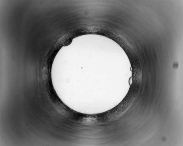 X0000103420220200810101026