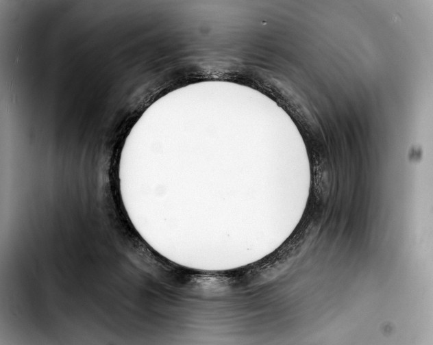 X0000103420221200810101026