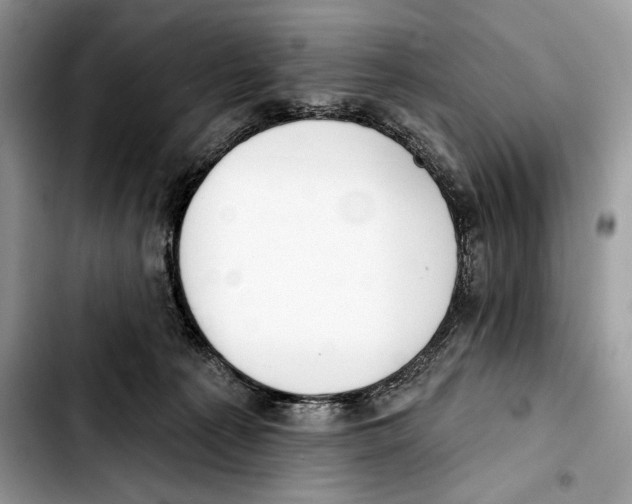 X0000103420225200810101026