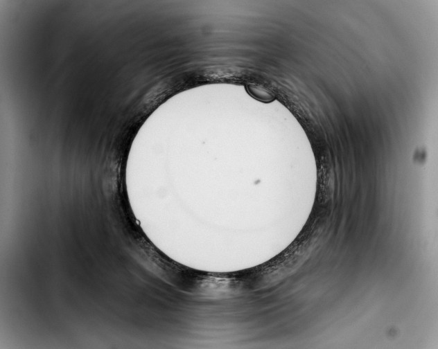 X0000103420227200810101026