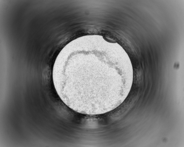 X0000103420228200810101026
