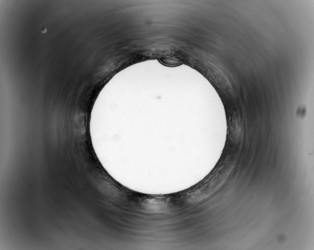 X0000103420232200810101026