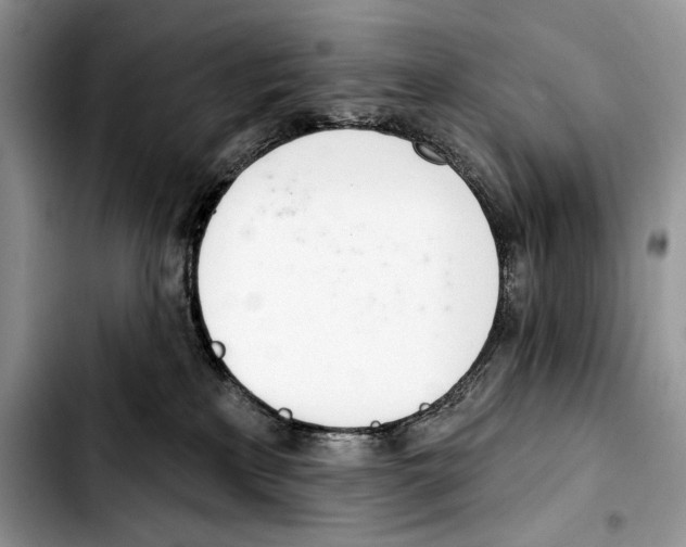 X0000103420233200810101026