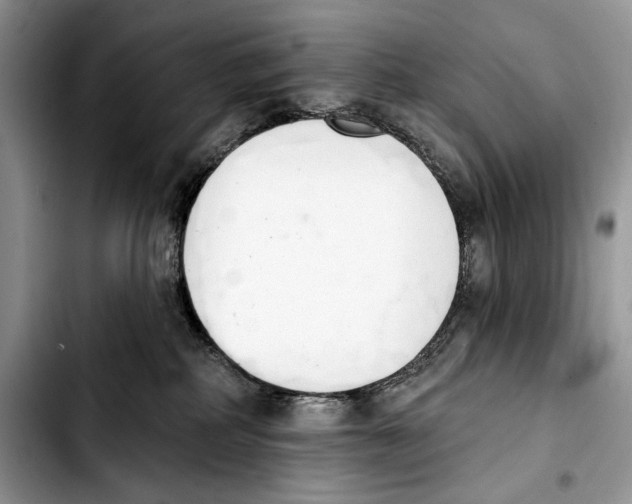 X0000103420234200810101026