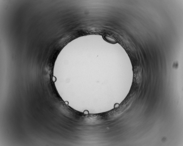 X0000103420235200810101026