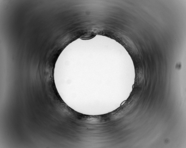 X0000103420236200810101026