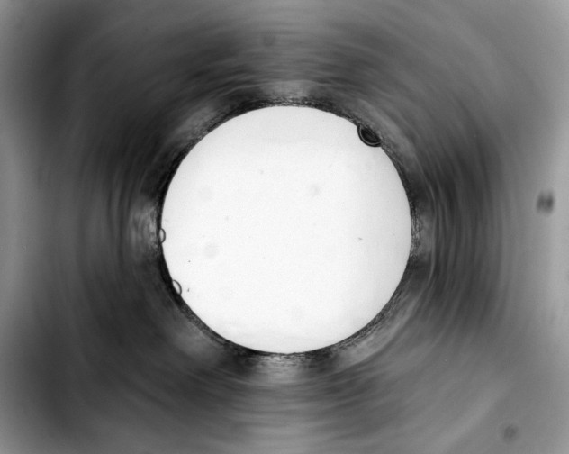 X0000103420238200810101026