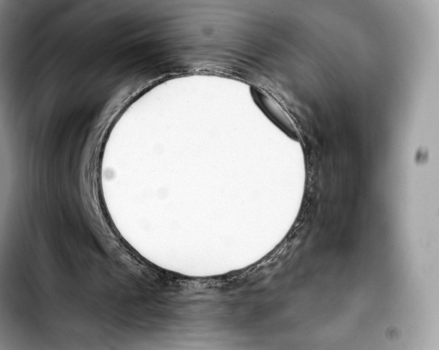 X0000103420241200810101025