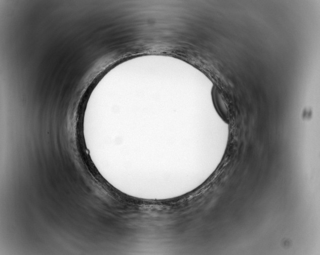 X0000103420242200810101025