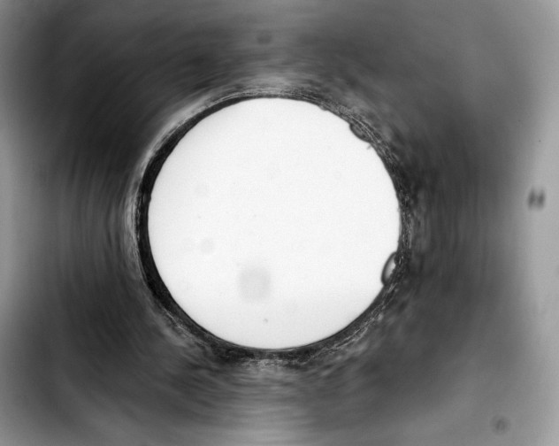 X0000103420244200810101025