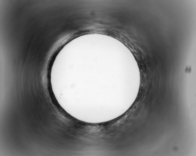 X0000103420245200810101025