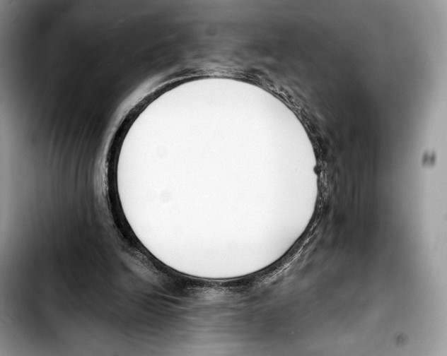 X0000103420246200810101025