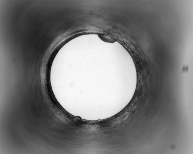 X0000103420247200810101025
