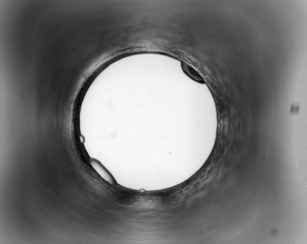 X0000103420248200810101025