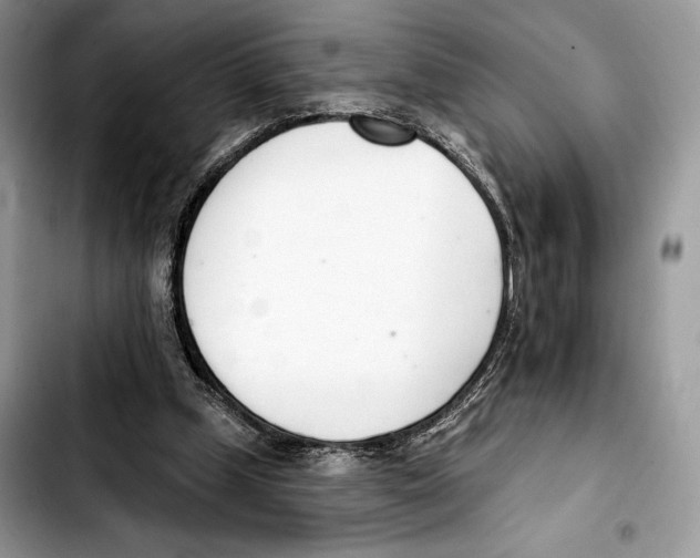 X0000103420249200810101025