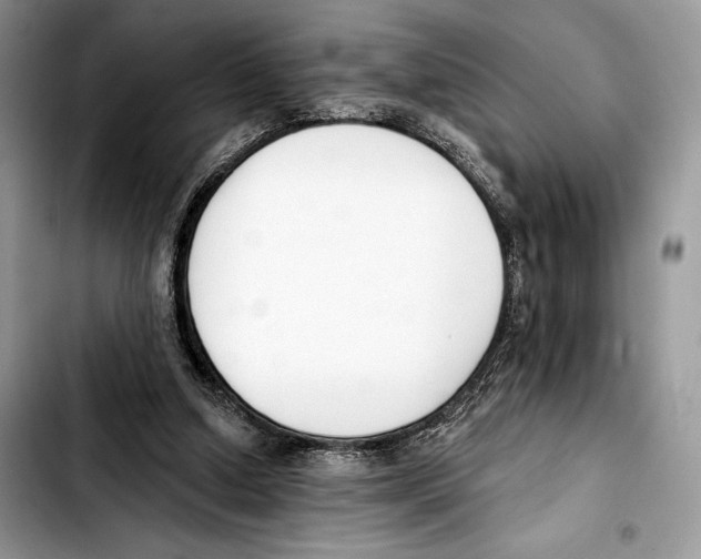 X0000103420250200810101025
