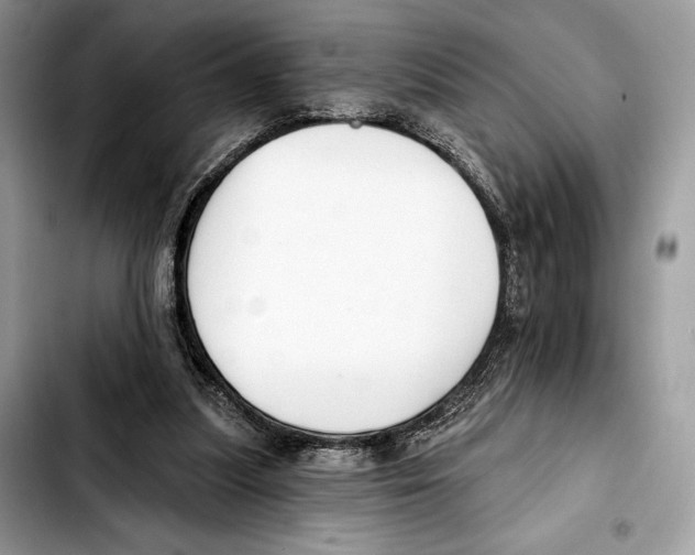 X0000103420251200810101025