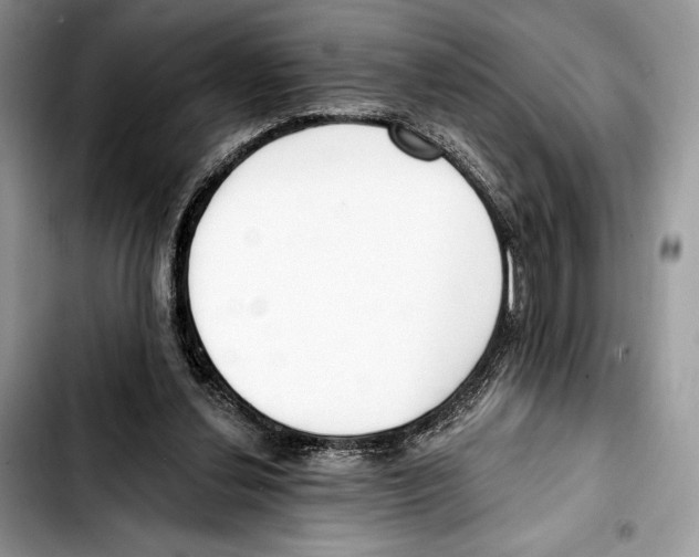 X0000103420252200810101025