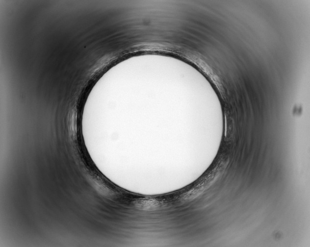 X0000103420253200810101025