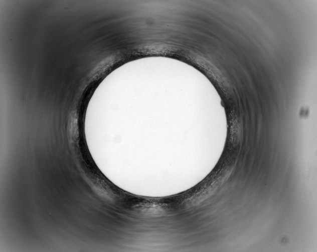 X0000103420254200810101025