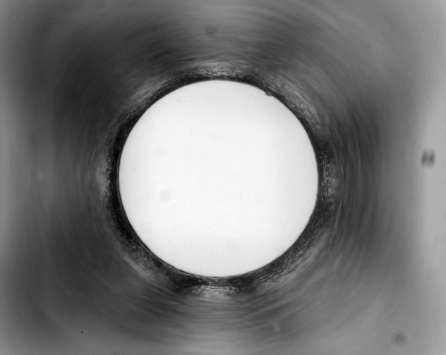 X0000103420255200810101025
