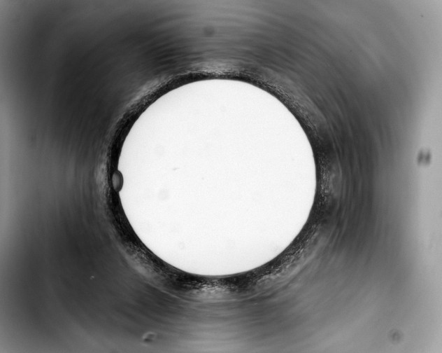 X0000103420256200810101025
