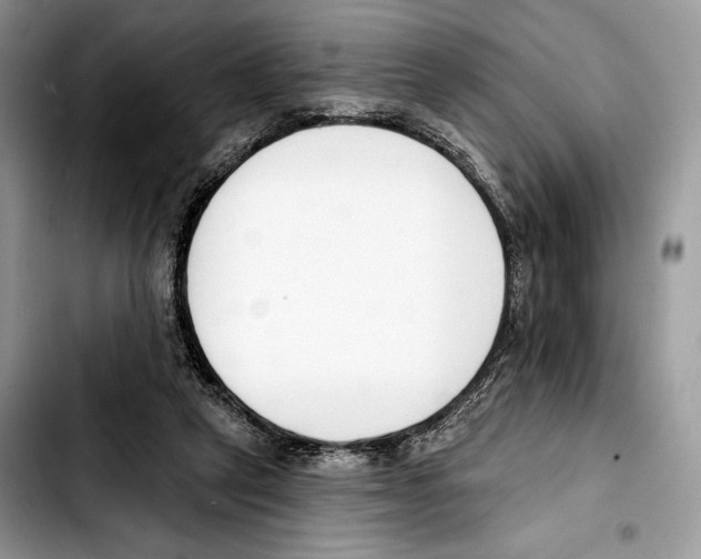 X0000103420257200810101025