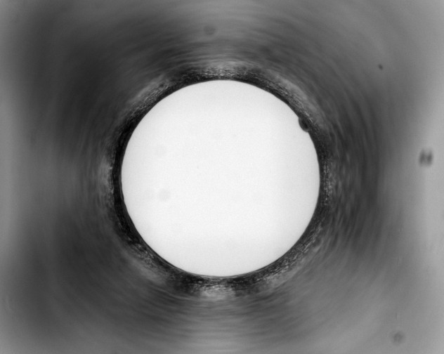 X0000103420258200810101025