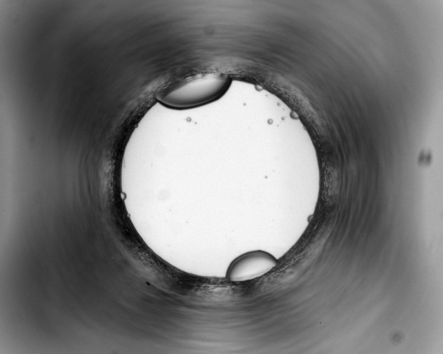 X0000103420260200810101025