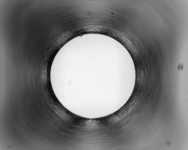 X0000103420261200810101025