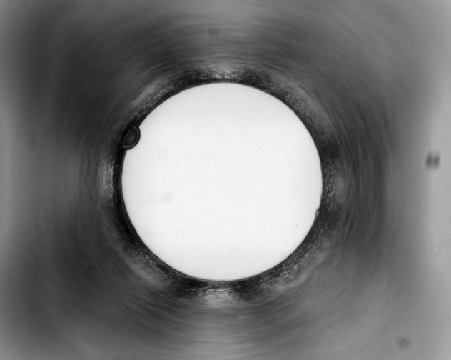 X0000103420262200810101025