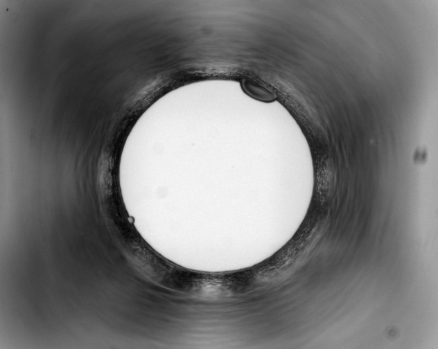 X0000103420264200810101025