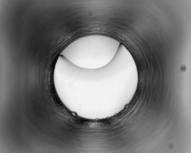 X0000103420268200810101025