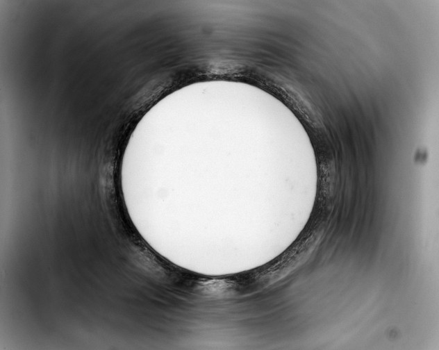 X0000103420269200810101025