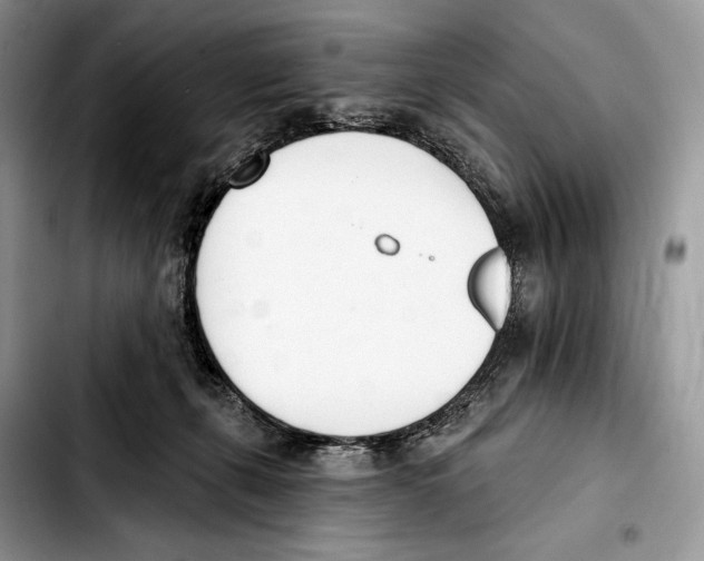X0000103420271200810101025