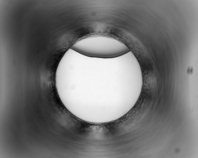 X0000103420272200810101025