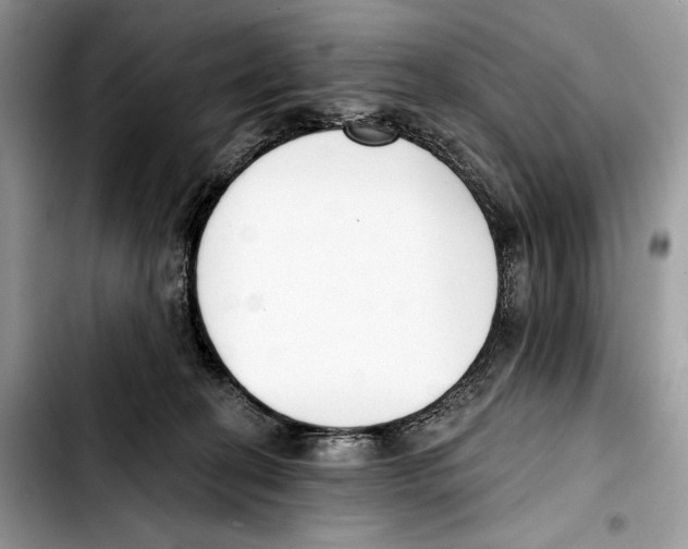 X0000103420274200810101025