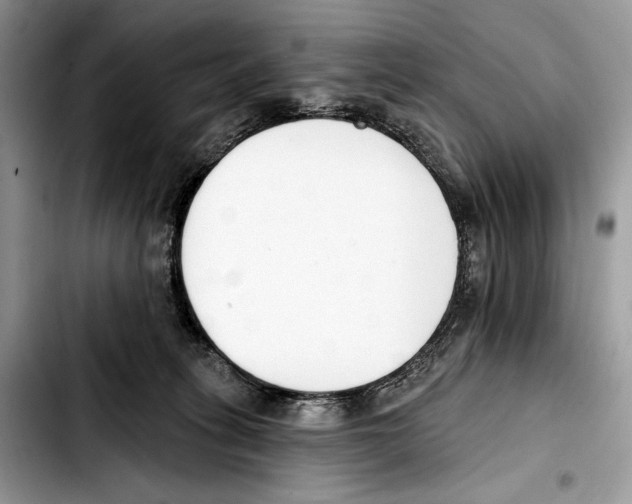 X0000103420275200810101025