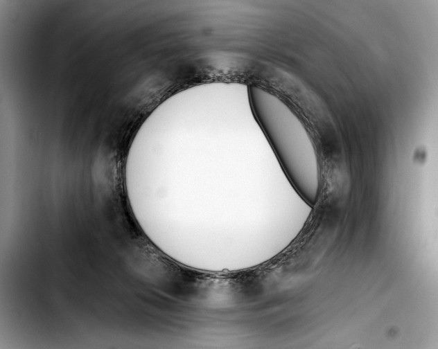 X0000103420276200810101025