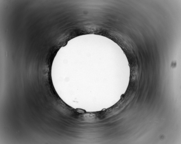 X0000103420279200810101025
