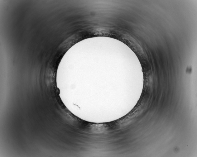 X0000103420281200810101025