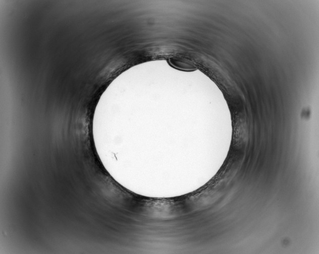 X0000103420282200810101025