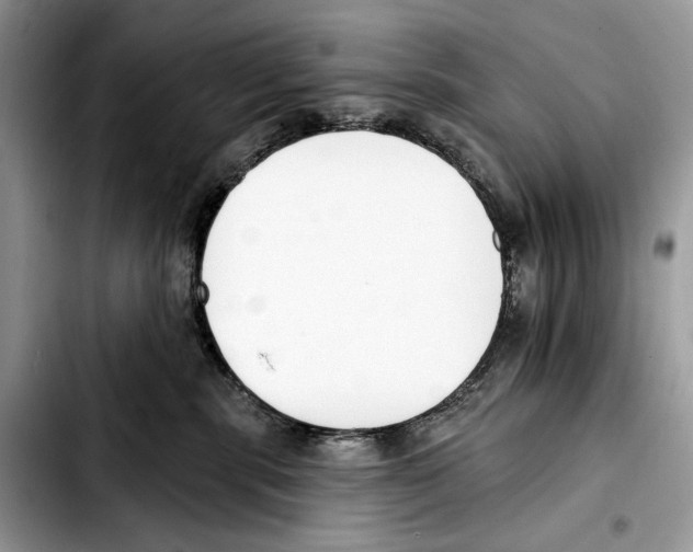 X0000103420283200810101025
